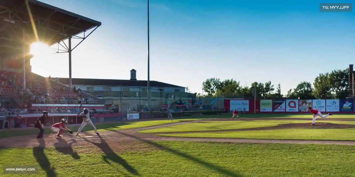 为什么选择我们